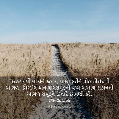 Picture 03 - નિર્ગમન 14:2 GUJIRV - “ઇઝરાયલી લોકોને - Bible Verse Picture