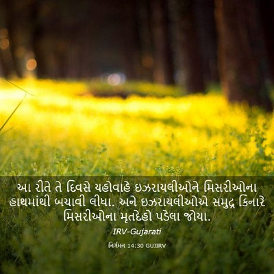 Picture 03 - નિર્ગમન 14:30 GUJIRV - આ રીતે તે દિવસે - Bible Verse Picture