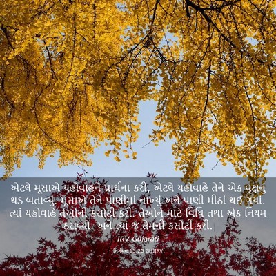 Picture 03 - નિર્ગમન 15:25 GUJIRV - એટલે મૂસાએ - Bible Verse Picture