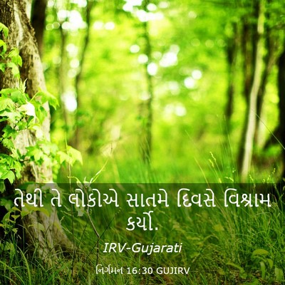 Picture 03 - નિર્ગમન 16:30 GUJIRV - તેથી તે લોકોએ - Bible Verse Picture