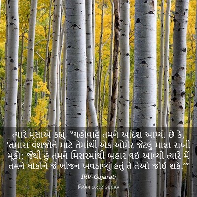 Picture 03 - નિર્ગમન 16:32 GUJIRV - ત્યારે મૂસાએ - Bible Verse Picture