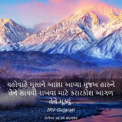 Picture 03 - નિર્ગમન 16:34 GUJIRV - યહોવાહે મૂસાને - Bible Verse Picture