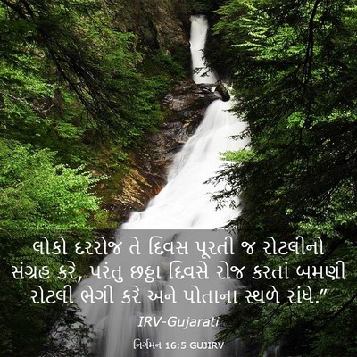 Picture 03 - નિર્ગમન 16:5 GUJIRV - લોકો દરરોજ તે દિવસ - Bible Verse Picture