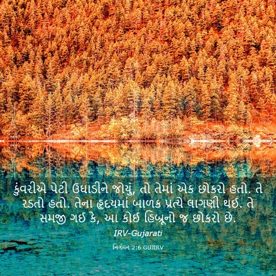 Picture 03 - નિર્ગમન 2:6 GUJIRV - કુંવરીએ પેટી - Bible Verse Picture