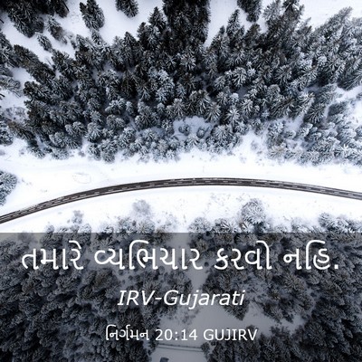 Picture 03 - નિર્ગમન 20:14 GUJIRV - તમારે વ્યભિચાર - Bible Verse Picture