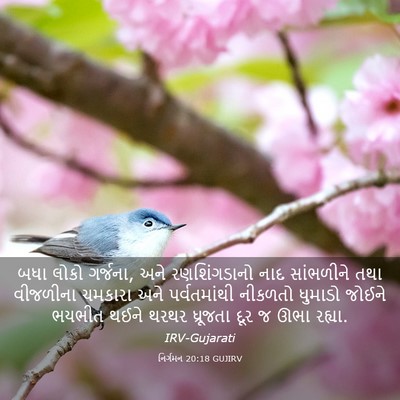Picture 03 - નિર્ગમન 20:18 GUJIRV - બધા લોકો ગર્જના, - Bible Verse Picture
