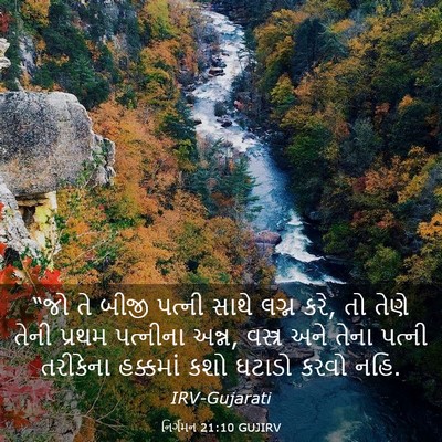 Picture 03 - નિર્ગમન 21:10 GUJIRV - “જો તે બીજી પત્ની - Bible Verse Picture