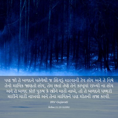 Picture 03 - નિર્ગમન 21:29 GUJIRV - પણ જો તે બળદને - Bible Verse Picture