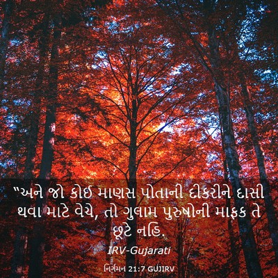 Picture 03 - નિર્ગમન 21:7 GUJIRV - “અને જો કોઈ માણસ - Bible Verse Picture