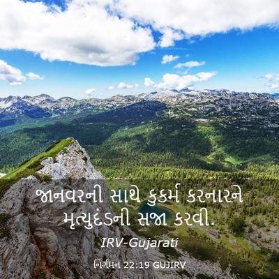 Picture 03 - નિર્ગમન 22:19 GUJIRV - જાનવરની સાથે - Bible Verse Picture