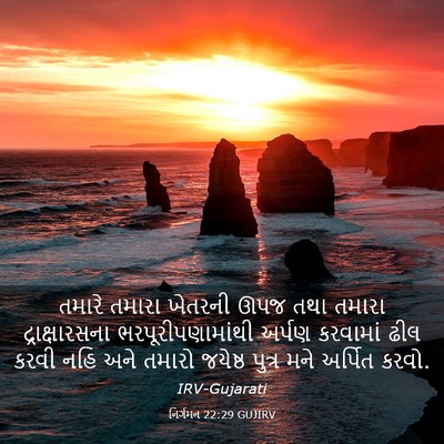 Picture 03 - નિર્ગમન 22:29 GUJIRV - તમારે તમારા - Bible Verse Picture