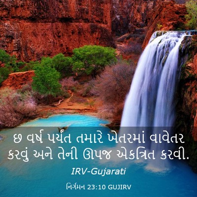 Picture 03 - નિર્ગમન 23:10 GUJIRV - છ વર્ષ પર્યંત - Bible Verse Picture