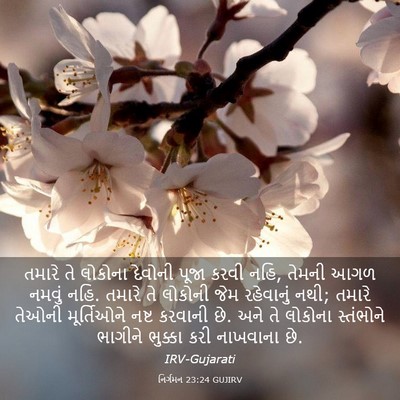 Picture 03 - નિર્ગમન 23:24 GUJIRV - તમારે તે લોકોના - Bible Verse Picture