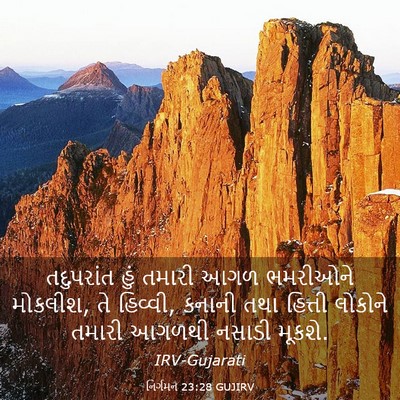 Picture 03 - નિર્ગમન 23:28 GUJIRV - તદુપરાંત હું - Bible Verse Picture