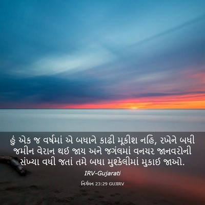 Picture 03 - નિર્ગમન 23:29 GUJIRV - હું એક જ વર્ષમાં એ - Bible Verse Picture