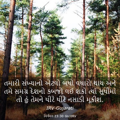 Picture 03 - નિર્ગમન 23:30 GUJIRV - તમારી સંખ્યાનો - Bible Verse Picture