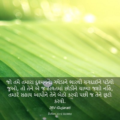 Picture 03 - નિર્ગમન 23:5 GUJIRV - જો તમે તમારા - Bible Verse Picture
