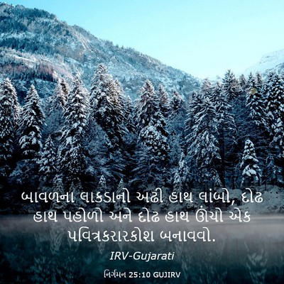 Picture 03 - નિર્ગમન 25:10 GUJIRV - બાવળના લાકડાનો - Bible Verse Picture