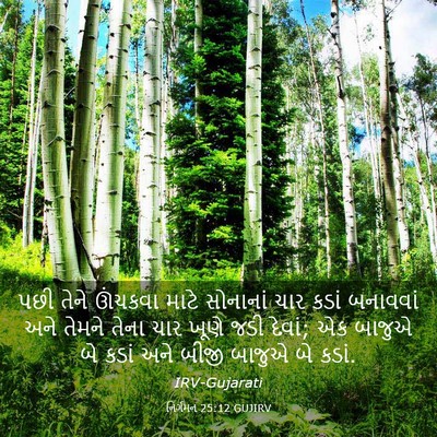 Picture 03 - નિર્ગમન 25:12 GUJIRV - પછી તેને ઊંચકવા - Bible Verse Picture