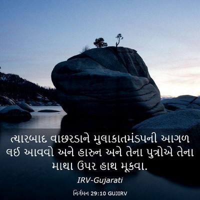 Picture 03 - નિર્ગમન 29:10 GUJIRV - ત્યારબાદ વાછરડાને - Bible Verse Picture