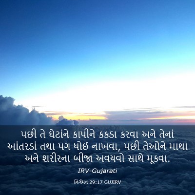 Picture 03 - નિર્ગમન 29:17 GUJIRV - પછી તે ઘેટાંને - Bible Verse Picture
