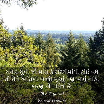 Picture 03 - નિર્ગમન 29:34 GUJIRV - સવાર સુધી જો માંસ - Bible Verse Picture