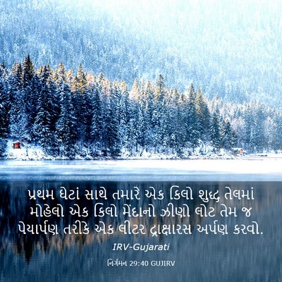 Picture 03 - નિર્ગમન 29:40 GUJIRV - પ્રથમ ઘેટાં સાથે - Bible Verse Picture