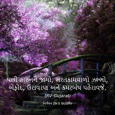 Picture 03 - નિર્ગમન 29:5 GUJIRV - પછી હારુનને જામો, - Bible Verse Picture