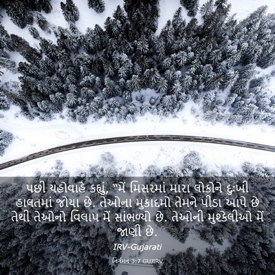 Picture 03 - નિર્ગમન 3:7 GUJIRV - પછી યહોવાહે - Bible Verse Picture