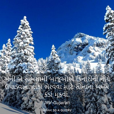 Picture 03 - નિર્ગમન 30:4 GUJIRV - એની બે સામસામી - Bible Verse Picture
