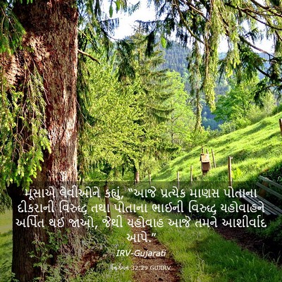 Picture 03 - નિર્ગમન 32:29 GUJIRV - મૂસાએ લેવીઓને - Bible Verse Picture