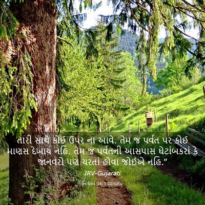 Picture 03 - નિર્ગમન 34:3 GUJIRV - તારી સાથે કોઈ ઉપર - Bible Verse Picture