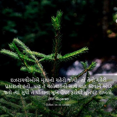 Picture 03 - નિર્ગમન 34:35 GUJIRV - ઇઝરાયલીઓએ મૂસાનો - Bible Verse Picture
