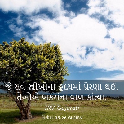 Picture 03 - નિર્ગમન 35:26 GUJIRV - જે સર્વ સ્ત્રીઓના - Bible Verse Picture