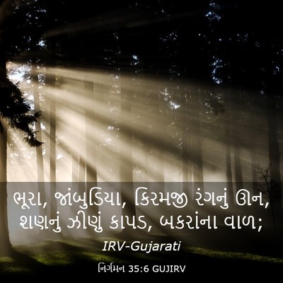 Picture 03 - નિર્ગમન 35:6 GUJIRV - ભૂરા, જાંબુડિયા, - Bible Verse Picture
