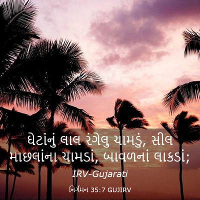 Picture 03 - નિર્ગમન 35:7 GUJIRV - ઘેટાંનું લાલ - Bible Verse Picture