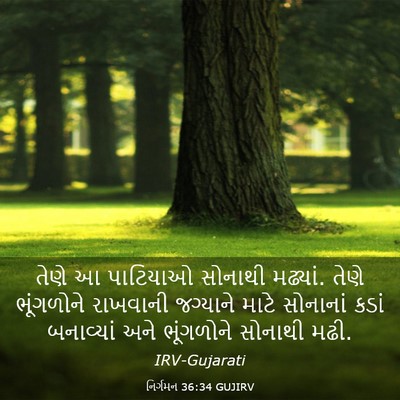Picture 03 - નિર્ગમન 36:34 GUJIRV - તેણે આ પાટિયાઓ - Bible Verse Picture