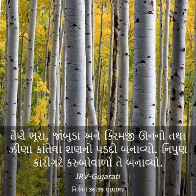 Picture 03 - નિર્ગમન 36:35 GUJIRV - તેણે ભૂરા, જાંબુડા - Bible Verse Picture