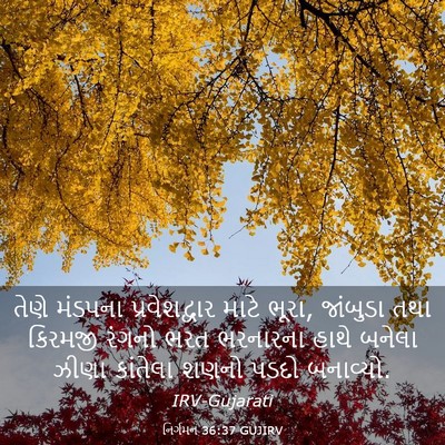 Picture 03 - નિર્ગમન 36:37 GUJIRV - તેણે મંડપના - Bible Verse Picture