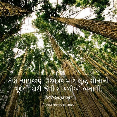 Picture 03 - નિર્ગમન 39:15 GUJIRV - તેણે ન્યાયકરણ - Bible Verse Picture