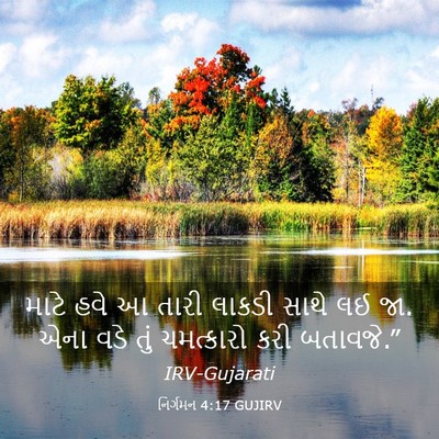 Picture 03 - નિર્ગમન 4:17 GUJIRV - માટે હવે આ તારી - Bible Verse Picture
