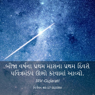 Picture 03 - નિર્ગમન 40:17 GUJIRV - બીજા વર્ષના પ્રથમ - Bible Verse Picture