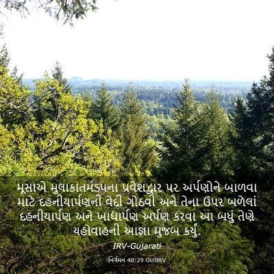 Picture 03 - નિર્ગમન 40:29 GUJIRV - મૂસાએ - Bible Verse Picture
