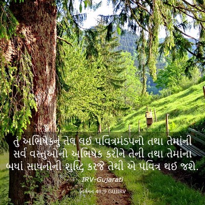 Picture 03 - નિર્ગમન 40:9 GUJIRV - તું અભિષેકનું તેલ - Bible Verse Picture