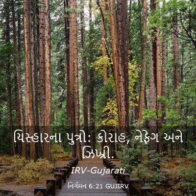 Picture 03 - નિર્ગમન 6:21 GUJIRV - યિસ્હારના પુત્રો: - Bible Verse Picture