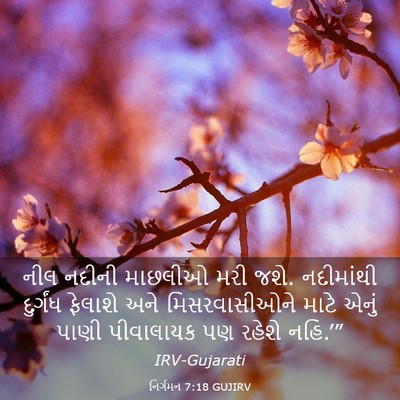 Picture 03 - નિર્ગમન 7:18 GUJIRV - નીલ નદીની માછલીઓ - Bible Verse Picture