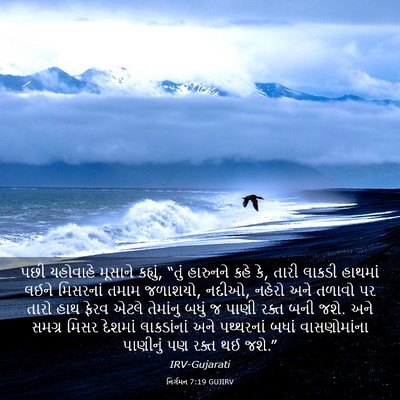 Picture 03 - નિર્ગમન 7:19 GUJIRV - પછી યહોવાહે - Bible Verse Picture