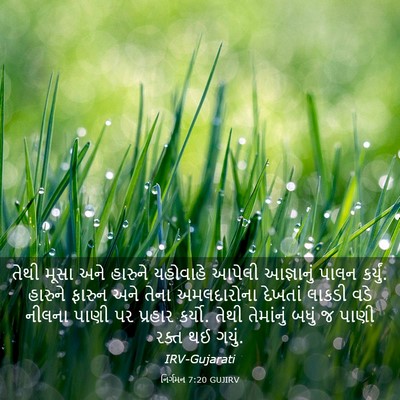 Picture 03 - નિર્ગમન 7:20 GUJIRV - તેથી મૂસા અને - Bible Verse Picture