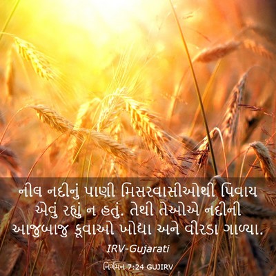 Picture 03 - નિર્ગમન 7:24 GUJIRV - નીલ નદીનું પાણી - Bible Verse Picture