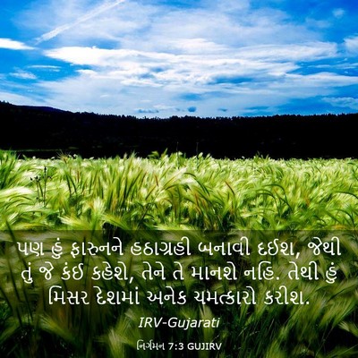 Picture 03 - નિર્ગમન 7:3 GUJIRV - પણ હું ફારુનને - Bible Verse Picture